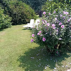 Tranquilla Dependance Nel Dell'alta Brianza. Casa vacanze